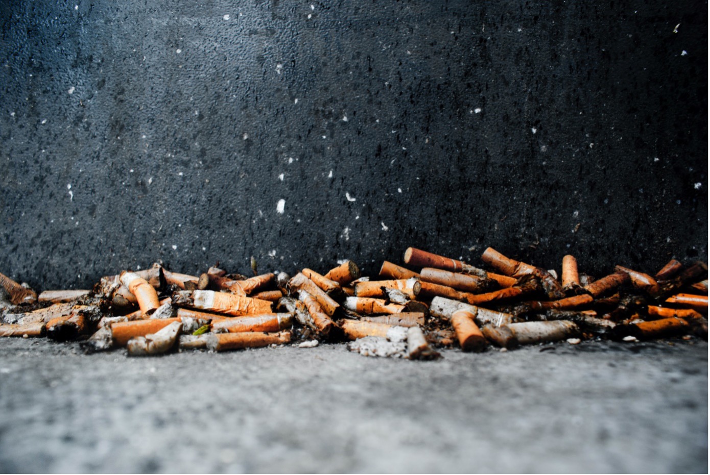 impact of cigarettes on the environment