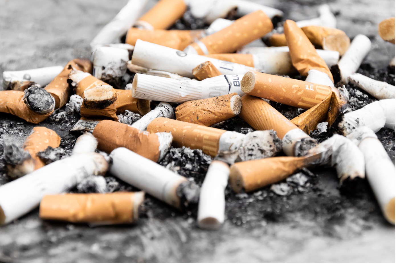 impact of cigarettes on the environment
