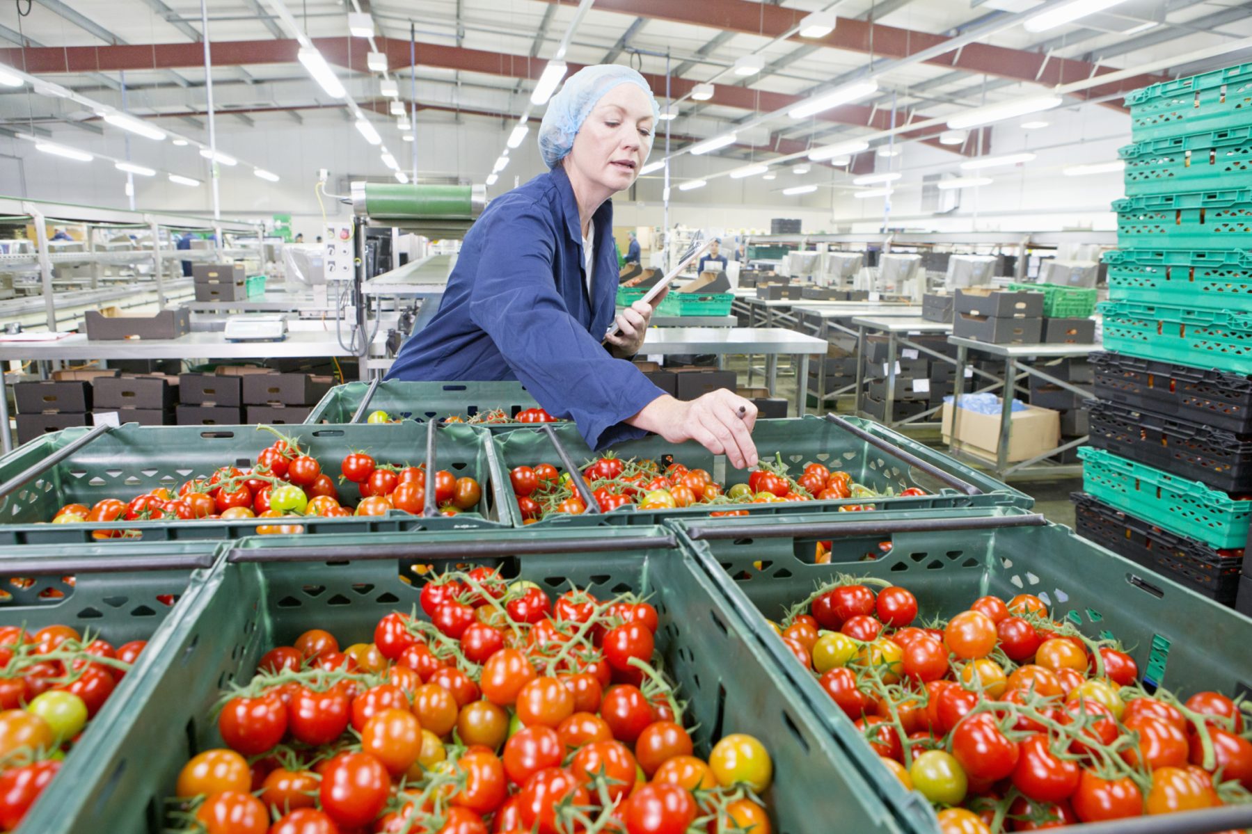Woman in warehouse with tomatoes