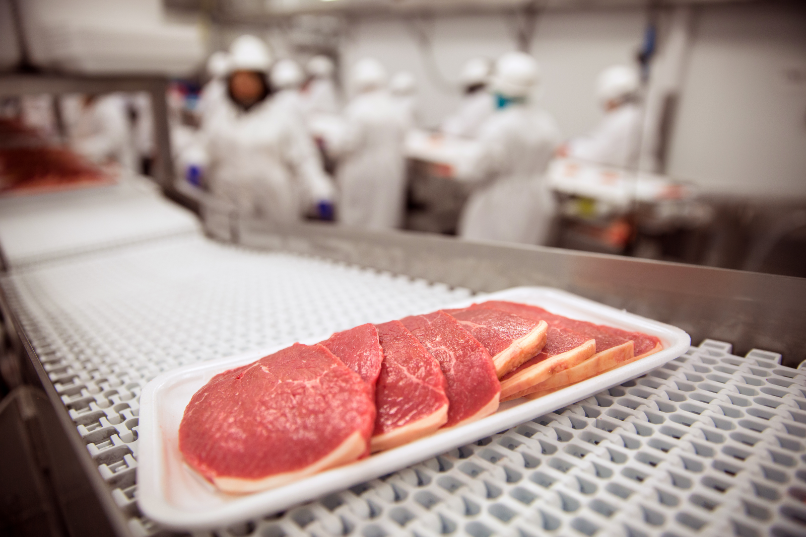 Shutterstock meat food industry