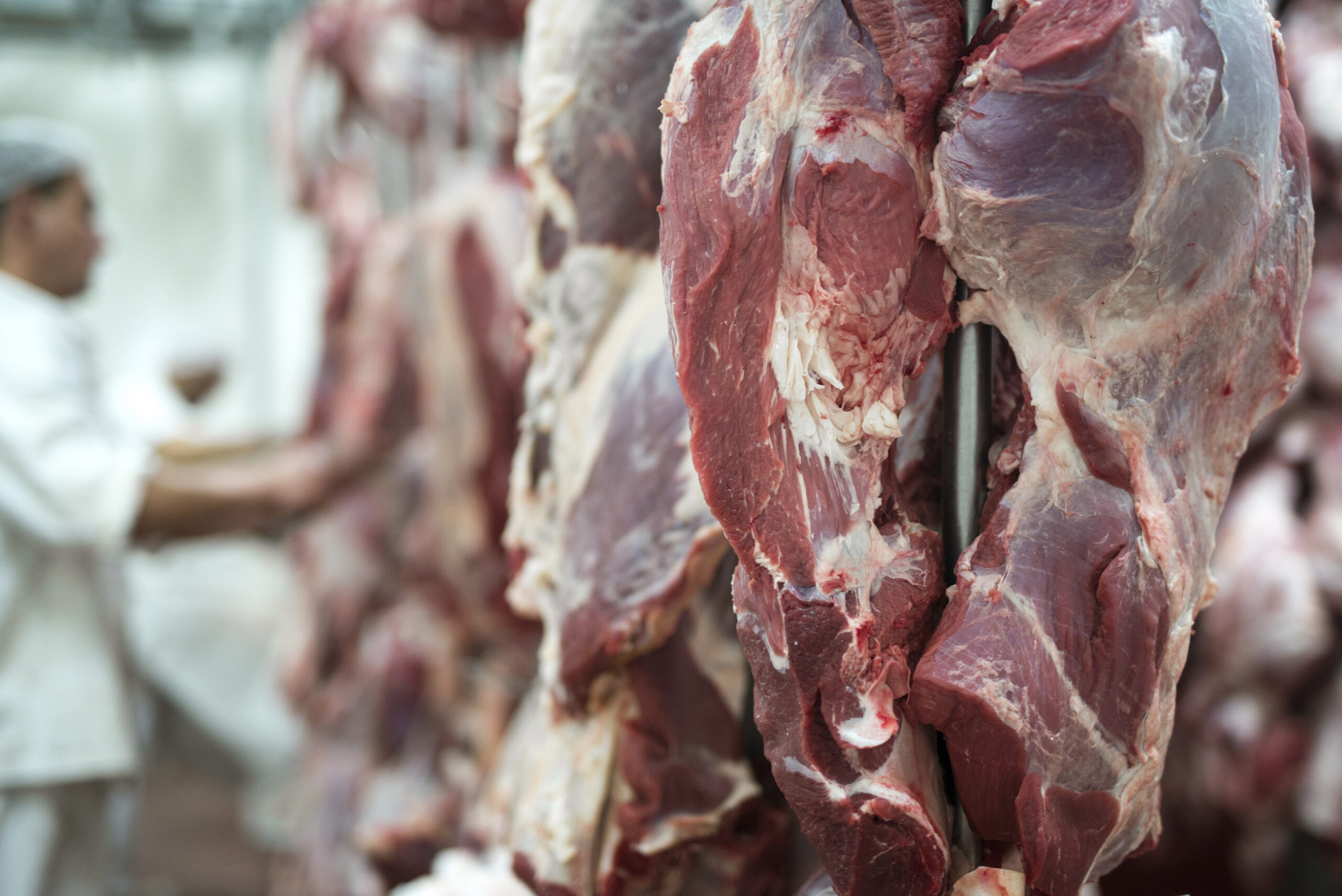 fresh meat in food industry